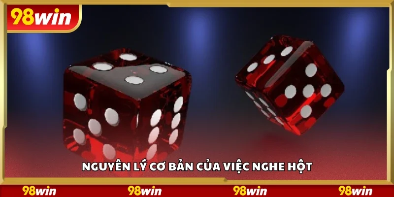 Các nguyên lý cơ bản của việc nghe hột