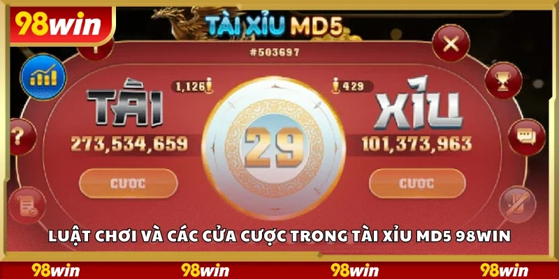 Luật chơi và các cửa cược trong Tài xỉu MD5 