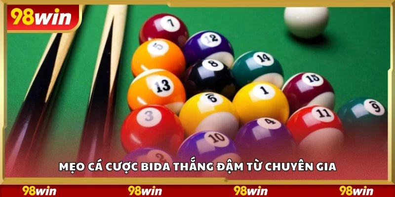 Mẹo cá cược bida thắng đậm từ chuyên gia