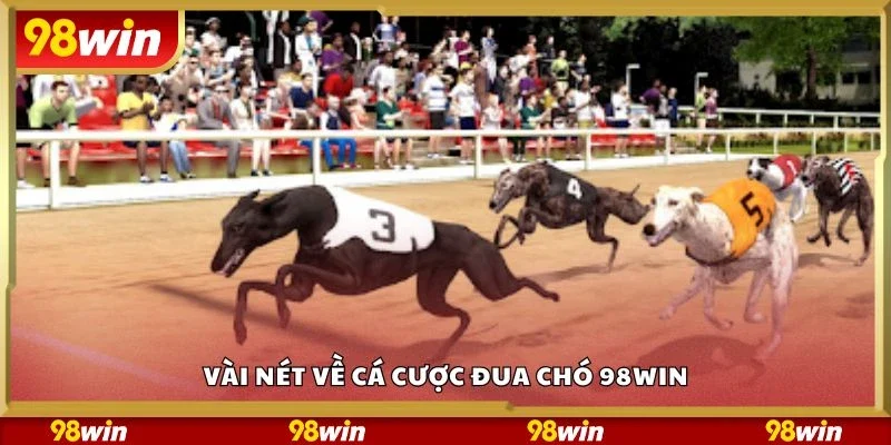 Vài nét về cá cược đua chó 98Win